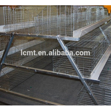 good quality layer cage sellers in China